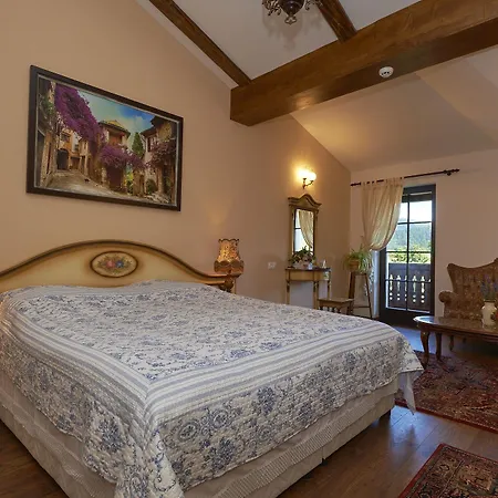 Conacul Ambient 5* Cristian (Brasov)